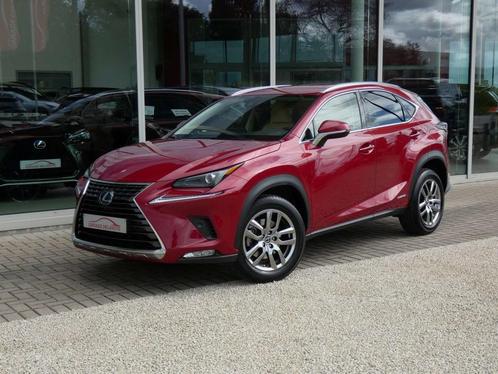 Lexus NX 300h Hybrid AWD Executive Line LEDER +Elektr. koffe, Auto's, Lexus, Bedrijf, Te koop, NX, 4x4, ABS, Achteruitrijcamera