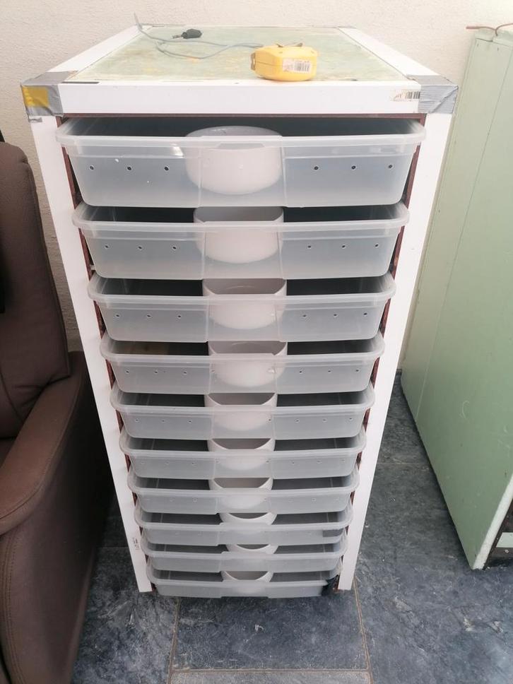 Rack met 10 bakken en eentje met 9 bakken., Dieren en Toebehoren, Reptielen en Amfibieën
