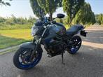 Yamaha XJ6 600 A2 (full power), Motoren, Particulier