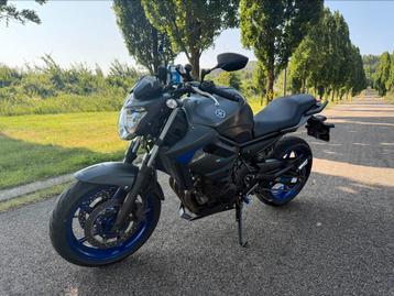 Yamaha XJ6 600 A2 (full power) beschikbaar voor biedingen