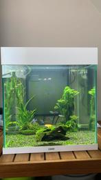 Aquarium te koop.Ciano emotions pro 40 aquarium 52 L, Dieren en Toebehoren, Vissen | Aquaria en Toebehoren, Ophalen, Zo goed als nieuw