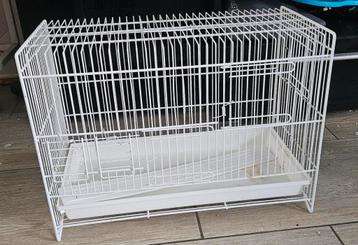 Cage élevage 45cm beschikbaar voor biedingen