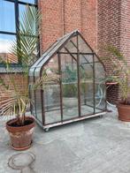 Greenhouse druivenserre, Tuin en Terras, Kassen, Ophalen, Gebruikt