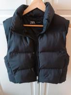 Nieuw Mango-jack voor dames, maat M, Kleding | Dames, Jassen | Winter, Ophalen of Verzenden