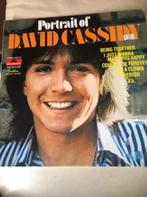 LP David Cassidy, Portrait de David Cassidy, 12 pouces, Enlèvement ou Envoi