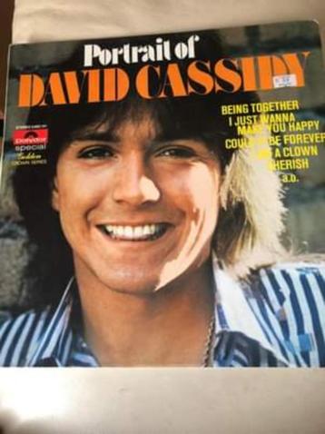 LP David Cassidy, Portrait de David Cassidy, Enlèvement ou Envoi, 12 pouces