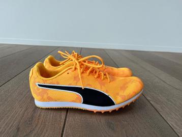 Puma evoSPEED star 8 kids spikes atletiek maat 35,5 beschikbaar voor biedingen