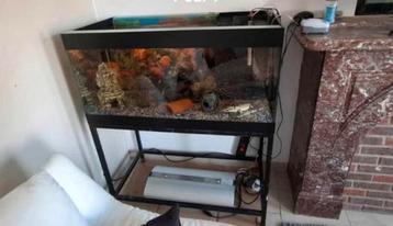Aquarium 100x50x50 250L fait partir besoin de place, Enlèvement, Comme neuf