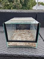 Terrarium 20x25x35, Ophalen of Verzenden, Zo goed als nieuw, Terrarium of Paludarium