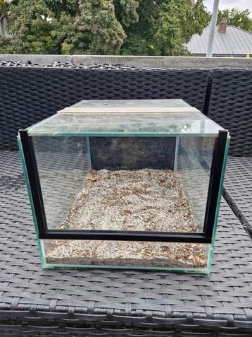 Terrarium 20x25x35 beschikbaar voor biedingen