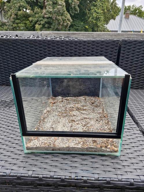 Terrarium 20x25x35, Dieren en Toebehoren, Reptielen en Amfibieën | Toebehoren, Zo goed als nieuw, Terrarium of Paludarium, Ophalen of Verzenden
