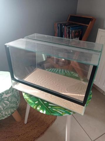 Terrarium  beschikbaar voor biedingen