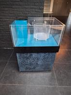 Aquarium koudwater, Dieren en Toebehoren, Ophalen, Gebruikt