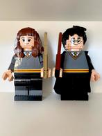 Lego Harry Potter verzamelobject: Harry en Hermione (76393), Ophalen of Verzenden, Zo goed als nieuw, Complete set, Lego
