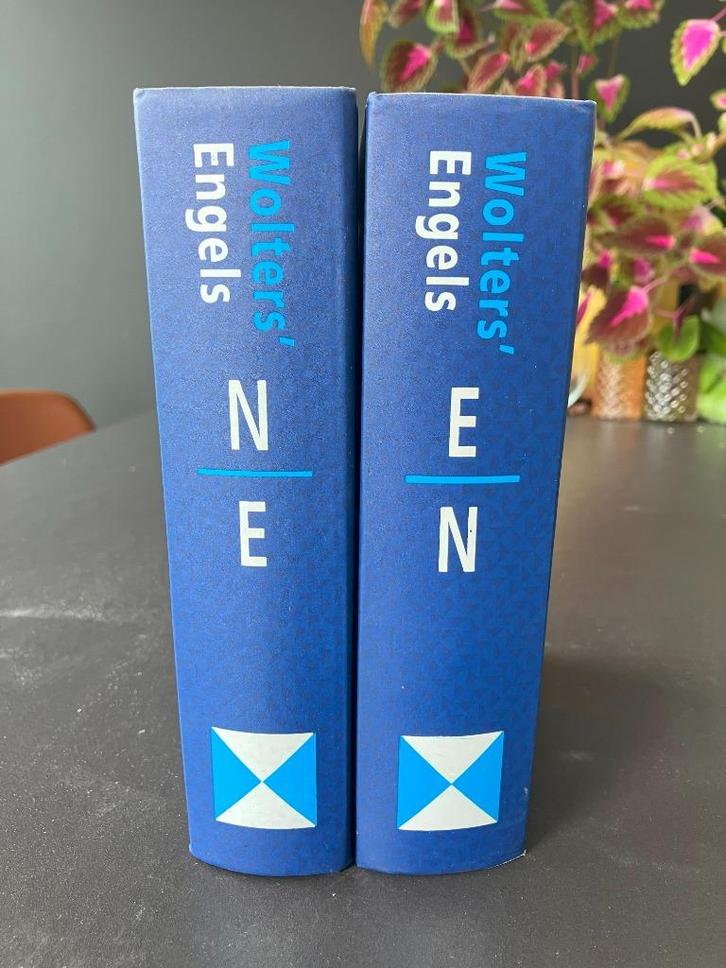 Wolters' Woordenboeken Nederlands - Engels (1990), Boeken, Woordenboeken, Zo goed als nieuw, Engels, Koenen of Wolters, Ophalen