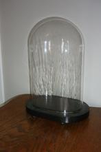 Antieke ovalen stolp / globe in glas, Ophalen of Verzenden