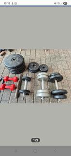 Halters en gewicht, Enlèvement