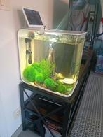 Biorb 30 aquarium, Dieren en Toebehoren, Ophalen, Zo goed als nieuw