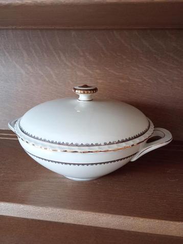 Terinne  beschikbaar voor biedingen