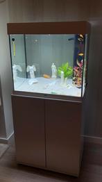 Aquarium Juwel te koop, Ophalen, Zo goed als nieuw
