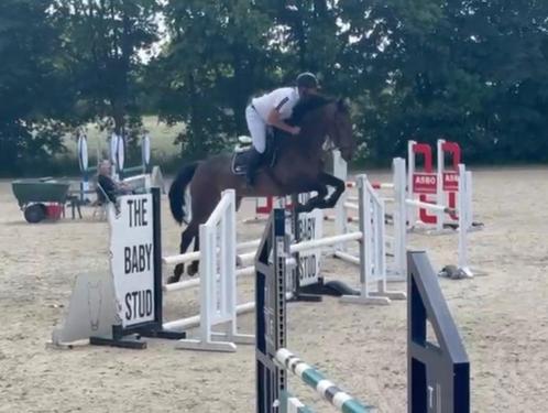 Chique 5-jarige merrie, Dieren en Toebehoren, Paarden, Merrie, Zadelmak