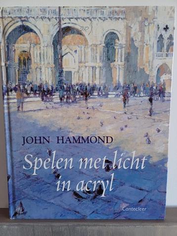 Kunstboek "Spelen met licht in acryl" beschikbaar voor biedingen