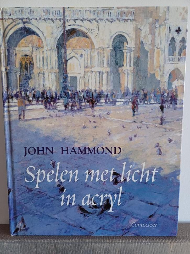 Kunstboek "Spelen met licht in acryl", Boeken, Kunst en Cultuur | Beeldend, Zo goed als nieuw, Schilder- en Tekenkunst, Verzenden