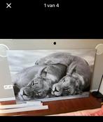 Groot schilderij / doek van leeuwinnen, Enlèvement