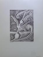 ARMAND SIMON / SURREALISME / ZW-W LITHO / 66x50cm / SIG, Ophalen of Verzenden