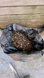 Kleine keitjes 10 tot 15 kg, Tuin en Terras, Ophalen