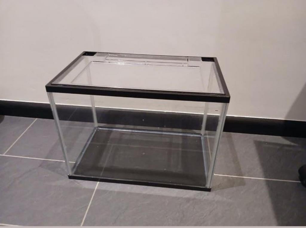 Aquarium, Enlèvement, Comme neuf