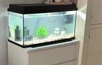 Aquarium juwel, Animaux & Accessoires, Enlèvement, Utilisé, Aquarium vide