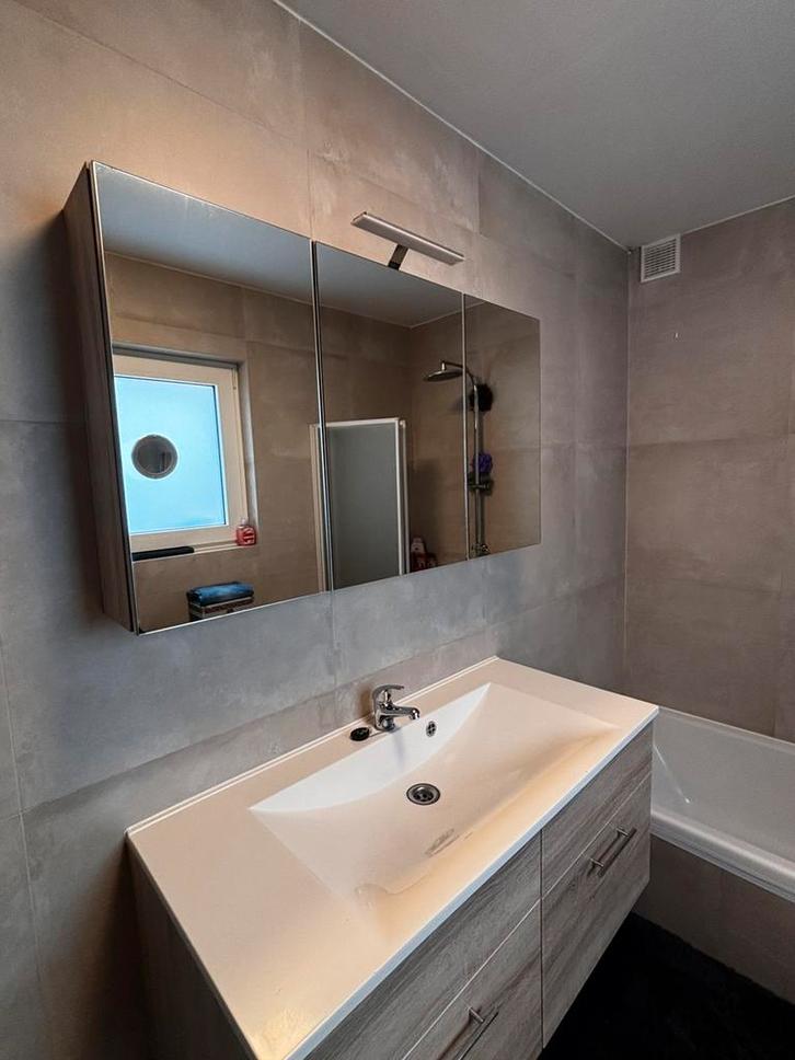 Badkamer kast en spiegelkast, Maison & Meubles, Salle de bain | Meubles de Salle de bain, Utilisé, Armoire à miroir, Enlèvement
