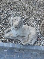 Hond labrador puppy, Ophalen of Verzenden, Zo goed als nieuw