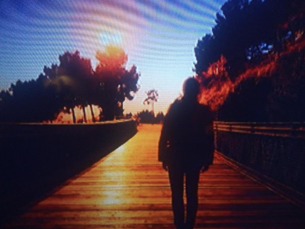 “Wie durft mij écht te leren kennen?”