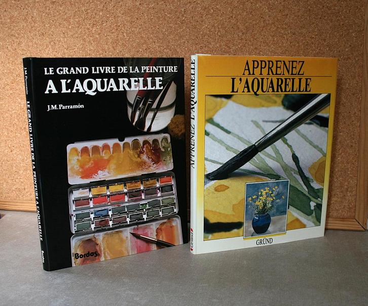Technique d'aquarelle x 2, Hobby & Loisirs créatifs, Peinture, Utilisé, Aquarelle, Enlèvement ou Envoi