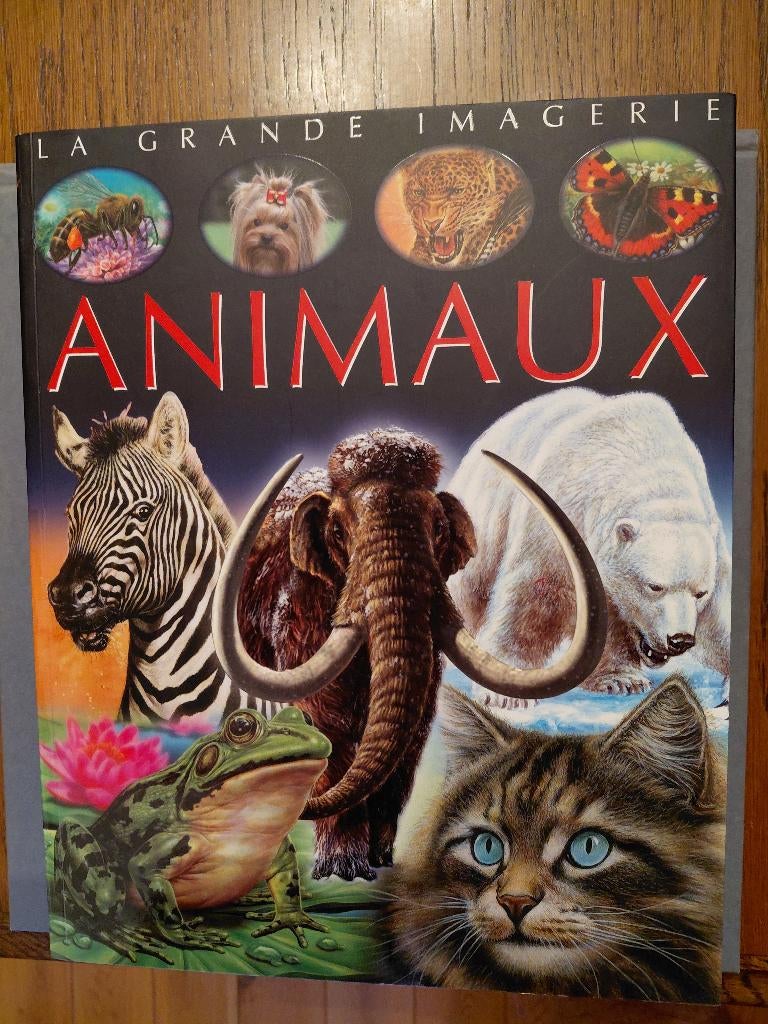 livre GRADE IMAGERIE, Livres, Enlèvement, Comme neuf, Garçon ou Fille, 5 ou 6 ans