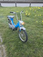 Honda Camino Classe A, Enlèvement