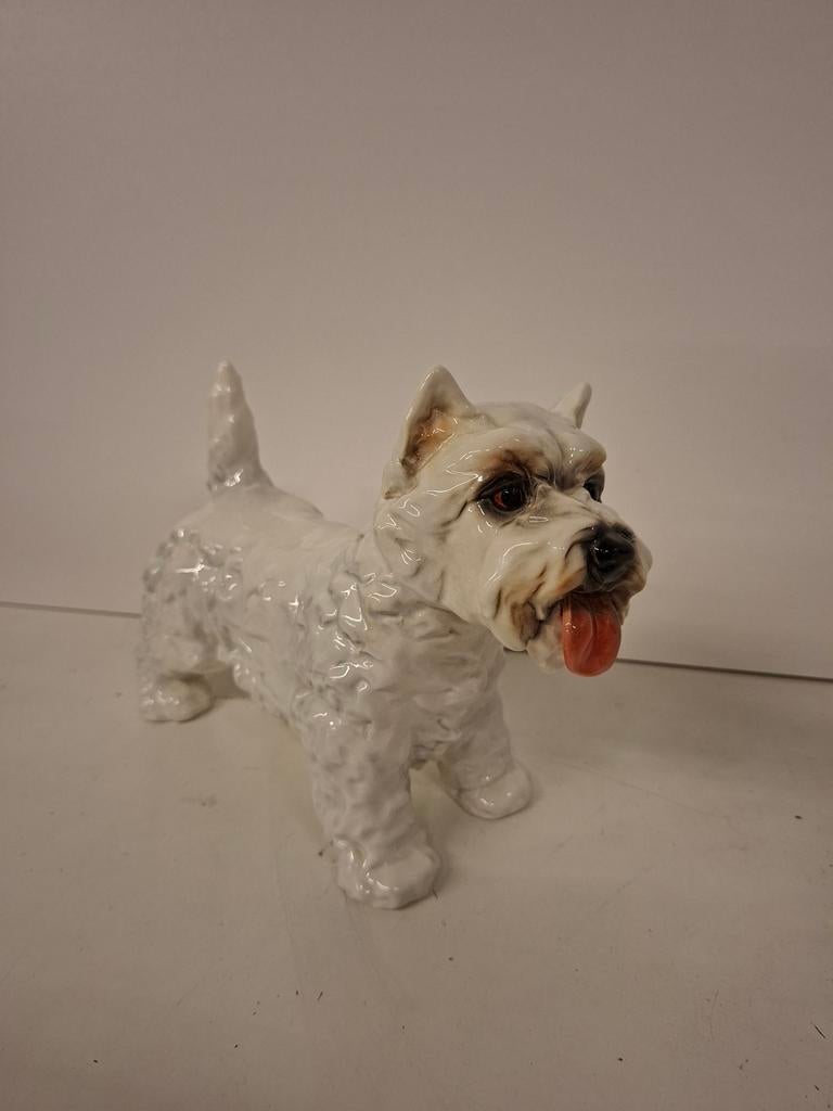 Goebel terrier, Ophalen of Verzenden