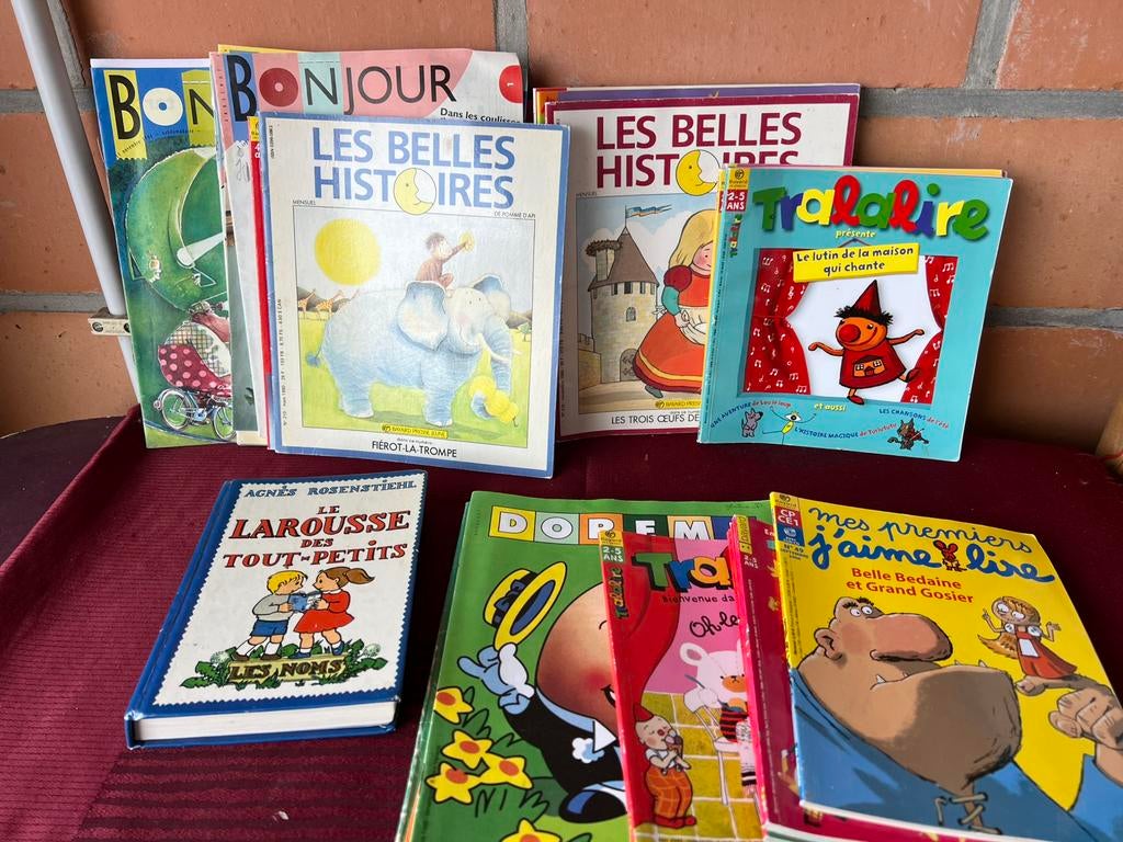 Lot franse boekjes, Boeken, Ophalen of Verzenden, Zo goed als nieuw