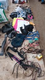 Allerhande pony gerief, Enlèvement