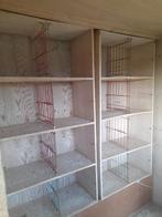 Kweekkasten duiven, Animaux & Accessoires, Oiseaux | Pigeons