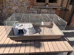 Cage à lapins 115x60x46 + accessoires, Lapin, Moins de 60 cm, Cage, Enlèvement