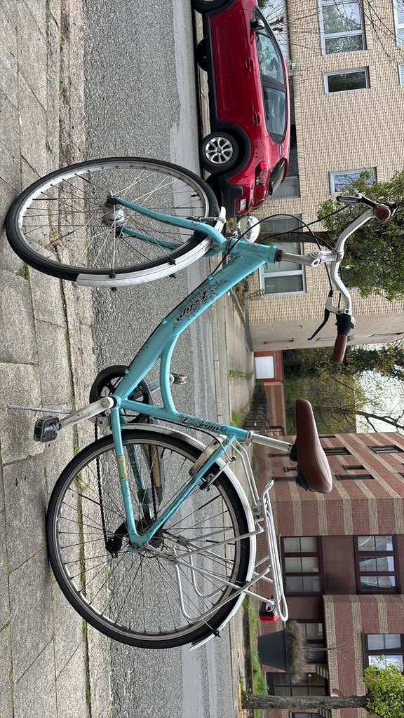 Vélo bleu clair pour femme, Enlèvement