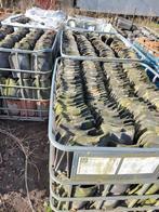 Blauwgesmoorde pannen 3500 stuks, Enlèvement