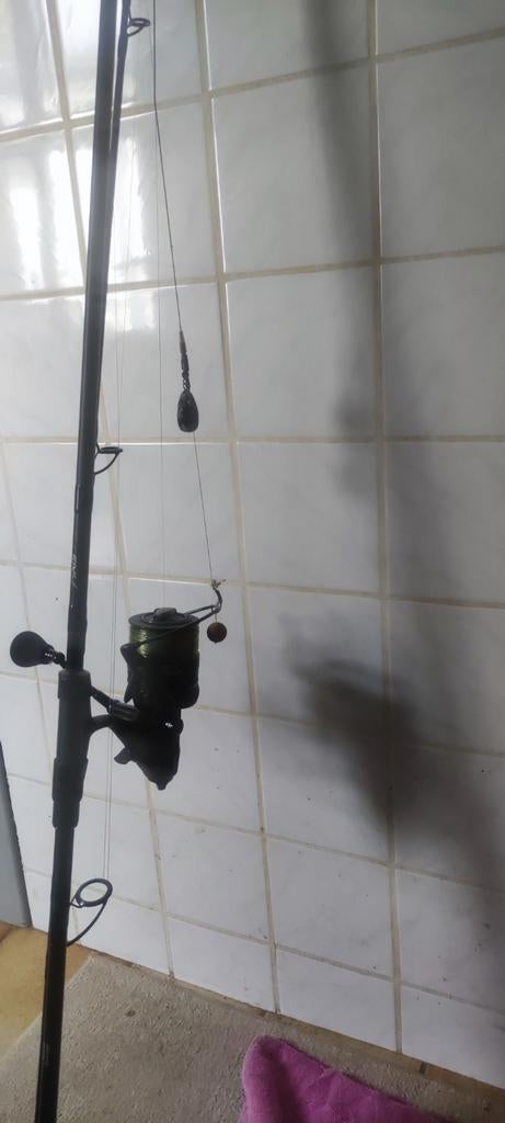 Canne a pêche carpe orion concept 3 m, Enlèvement, Moulinet