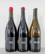 Vins Arnaud Lopez, Collections, Vins, Neuf, Enlèvement ou Envoi, Pleine, Vin rouge