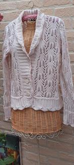 Vest maat 52 terre blue, Kleding | Dames, Overige kleuren, Terre Bleue, Maat 42/44 (L), Ophalen of Verzenden