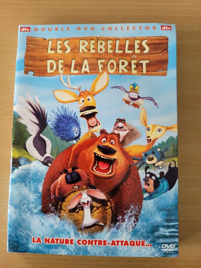 DVD LES REBELLES DE LA FORET, Enlèvement ou Envoi, Comme neuf, Européen, Dessin animé