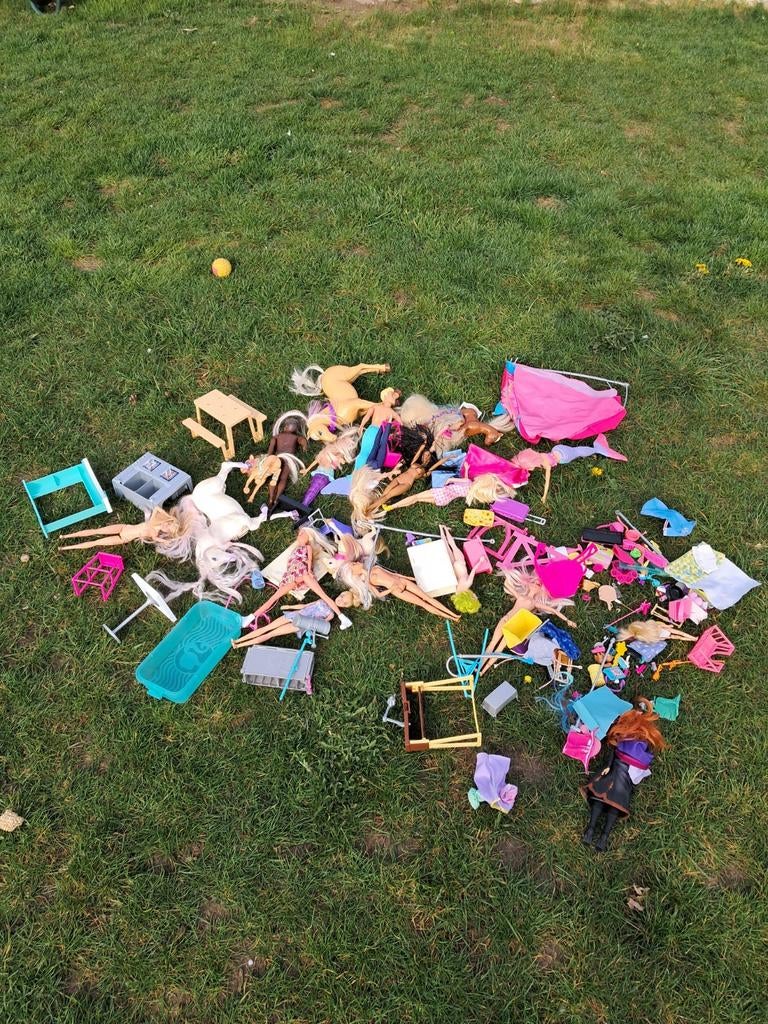 Barbie en poppen spulletjes, Ophalen